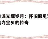 包含重温光辉岁月：怀旧服见证魔力宝贝的传奇的词条