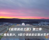 宠物训练大赛：征服挑战登上巅峰