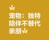 拥有独特宠物：打造个性团队