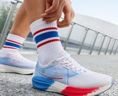 解锁潜能：引领宠物突破极限