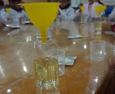 魔法实验室探秘：在魔力百科了解最新魔法实验成果！