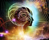 在魔力SF发布网中释放想象力，创造无限可能的简单介绍