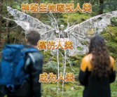 发现珍稀生物：捕捉神秘的魔力生物