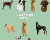 发现独特宠物：探寻神奇生物奥秘