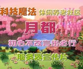 伙伴同行：与好友共同体验魔法世界探险