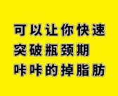 解锁宠物潜能：突破技能瓶颈