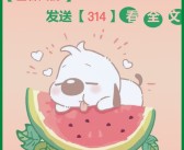 培养强大宝贝战队：成为顶尖训练师