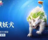 培养强力技能：提升宠物实力，释放魔力