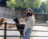 魔力宝贝粉丝见面会预告，与开发者近距离互动分享热情！