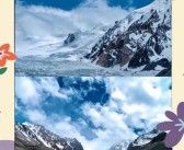 揭秘秘境挑战：冒险者的探险之旅！