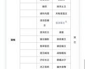 魔力宝贝宠物算档器技能搭配攻略：打造无敌宠物组合！