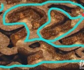 魔力宝贝挑战关卡沙尘洞窟玩法攻略