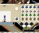 魔力宝贝怀旧服练级攻略图纸