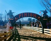 勇闯魔法王国：开启奇幻探秘之门