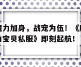 魔力加身，战宠为伍！《魔力宝贝私服》即刻起航！的简单介绍