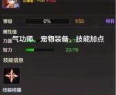 魔力宝贝格斗就职多少级能过