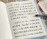 建立深厚羁绊：与宠物共同前进，共创未来