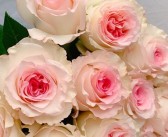 魔力宝贝攻略大揭秘：通关秘籍一网打尽