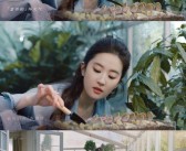 魔力宝贝全新故事线：未知领域的探索之旅