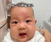 购买稀有宝贝和道具：打造最强大的宝贝团队