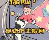 宠物调教等级和宠物面板忠诚上限的关系查询