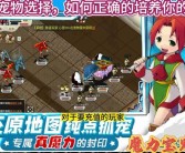 魔力宝贝手游宠物获得途径及捕捉位置汇总