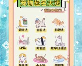 揭示宠物技能奥秘：掌握独门秘籍技巧