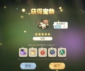 魔力宝贝宠物算档器玩家心得分享：宠物培养秘籍大揭秘！