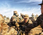 维护和平王国：与宠物团队共同捍卫安宁