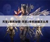 天堂2单机秘籍-天堂2单机秘籍怎么用