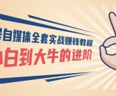 从小白到大神！如何在魔力宝贝SF中提升实力的简单介绍