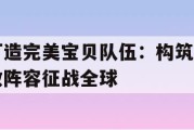 打造完美宝贝队伍：构筑无敌阵容征战全球