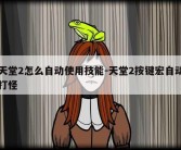 天堂2怎么自动使用技能-天堂2按键宏自动打怪