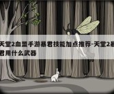 天堂2血盟手游暴君技能加点推荐-天堂2暴君用什么武器