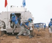 抗击黑暗势力，捍卫和平王国