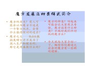 为什么魔力宝贝可以促进儿童的智力发展？