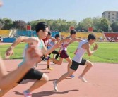 挑战赛精彩回顾：重温激烈战斗的经典瞬间！