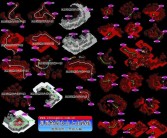 魔力宝贝C级竞技场任务怎么过