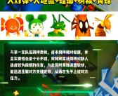 精灵进化：发掘魔力宝贝精灵的潜力之路