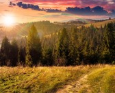 未知边界：用魔力SF探寻未来奇观的简单介绍