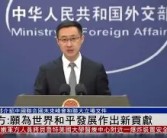 守护和平使命：成为魔法世界的守护者