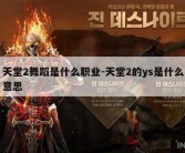 天堂2舞蹈是什么职业-天堂2的ys是什么意思