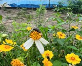 魔力宝贝SF：卧薪尝胆，一战成名