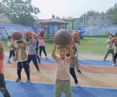 高手争霸：展示你的宝贝训练术