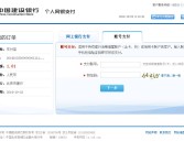 宠物等级超限相关测试