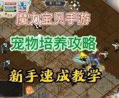 魔力宝贝宠物玩法攻略 宠物升级攻略