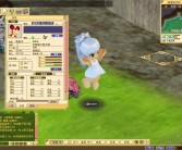 《魔力宝贝》宠物维尼多少钱？属性介绍