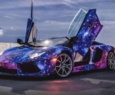 挑战竞技巅峰：展示你的宝贝训练术