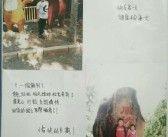 宝贝训练大赛精彩瞬间：见证传奇的诞生！