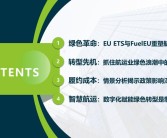 制定致胜策略：智慧对决夺得胜利